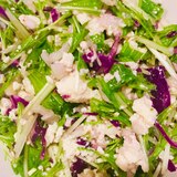 紫キャベツと水菜と豆腐のサラダ